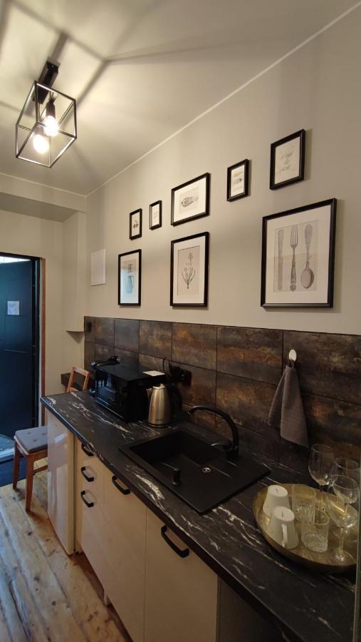 Singer Apartament Krasków Εξωτερικό φωτογραφία